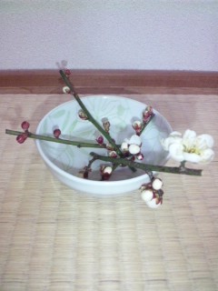 炫ւ